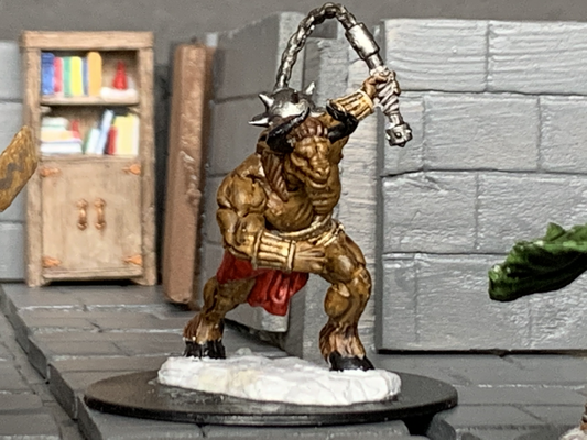 Argus